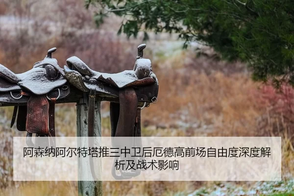 阿森纳阿尔特塔推三中卫后厄德高前场自由度深度解析及战术影响
