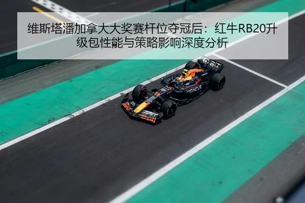 wei-si-ta-pan-jia-na-da-da-jiang-sai-gan-wei-duo-guan-hou-hong-niu-sheng-ji-bao-xing-neng-yu-ce-lve-ying-xiang-shen-du-2-519.jpg